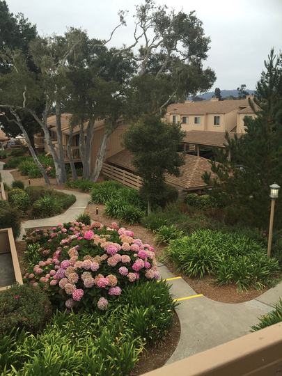 Property Listings in Monterey