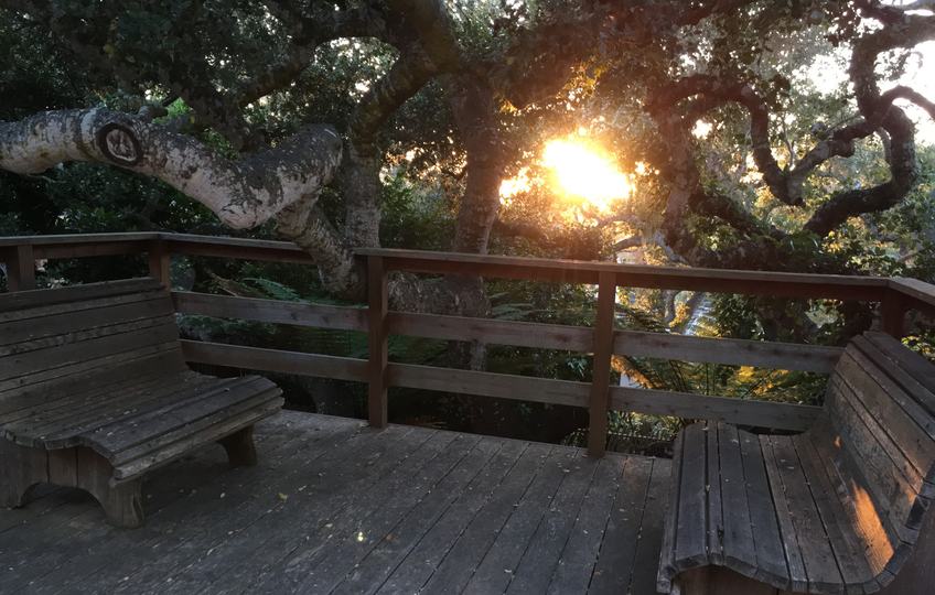 Real estate listings in Carmel-by-the-Sea