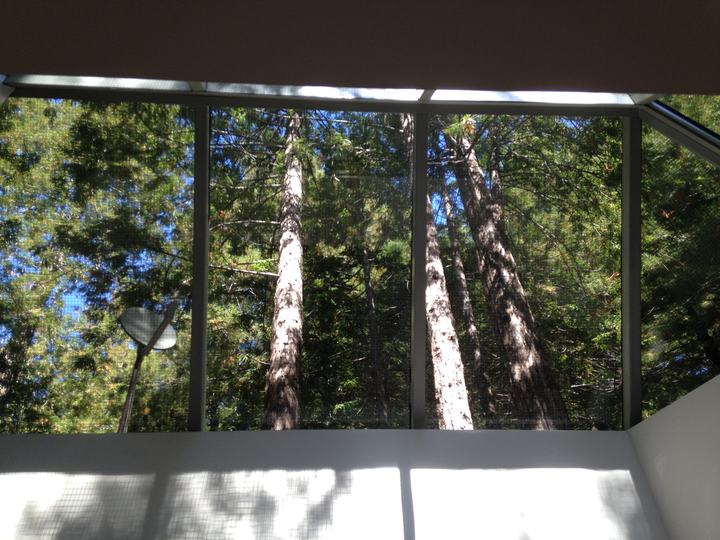 Real estate listings in Big Sur