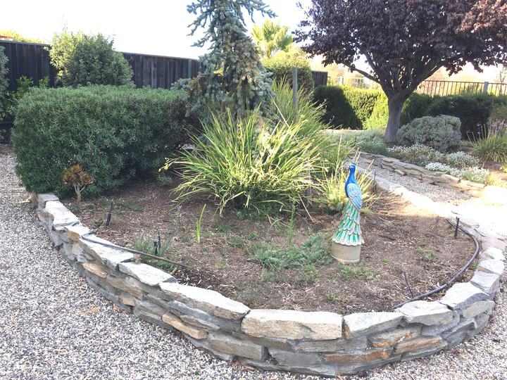 Real estate listings in Salinas