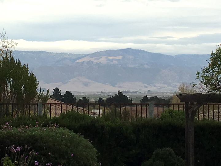 Real estate listings in Salinas