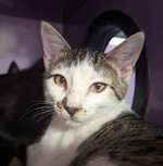 Image of Press Release #860