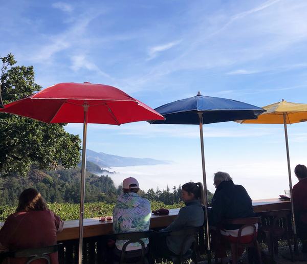 Scenic Drive to Big Sur and Lunch at Nepenthe's