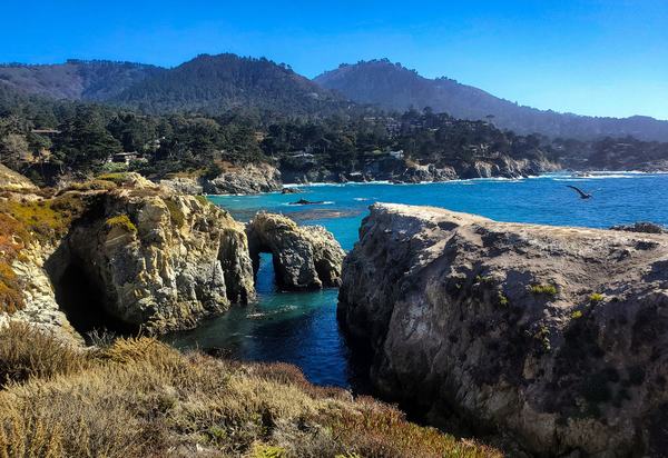 Walking Tour of Point Lobos