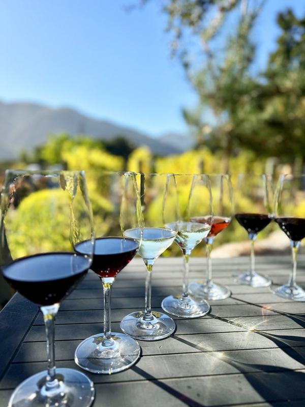 Wine Tasting in Carmel Valley Village and Lunch al Fresco