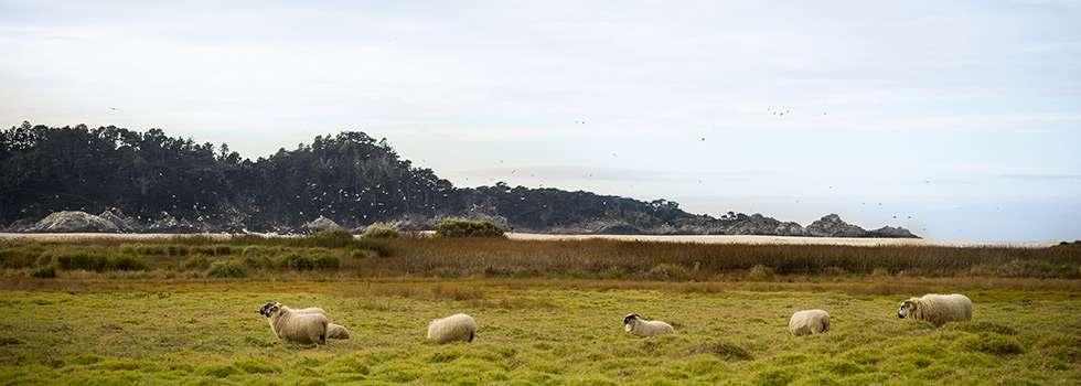 Image about Mission Ranch Hotel and Restaurant