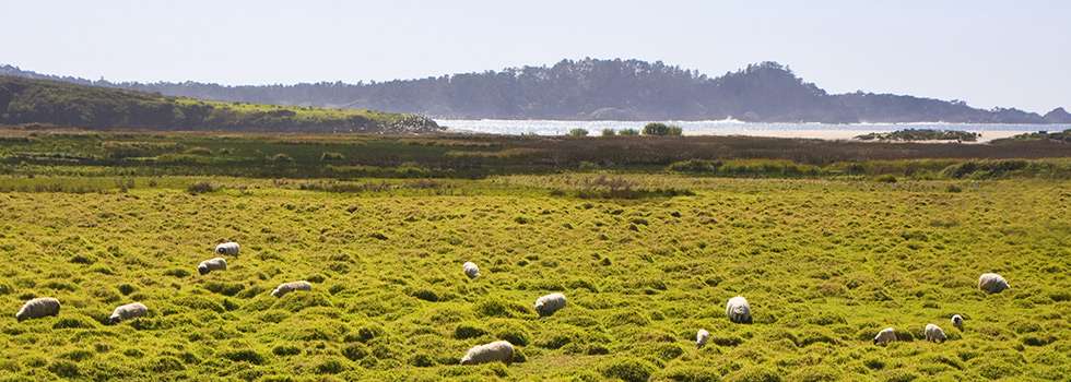 Image about Mission Ranch Hotel and Restaurant