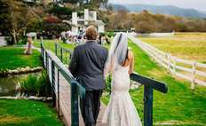 Image weddings 188