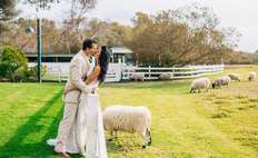 Image weddings 191