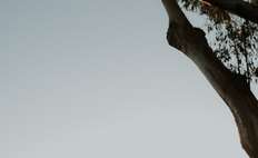 Image about Holly Shankland Photography