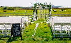 Image about The Goodness- Fleurish Floral Design