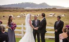 Image weddings 534