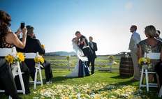 Image weddings 548