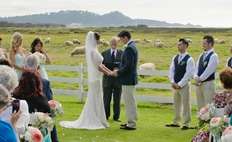 Image weddings 567