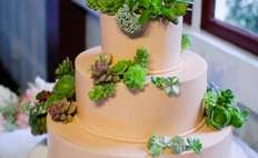 Image weddings 572