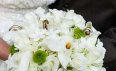 Image weddings 580