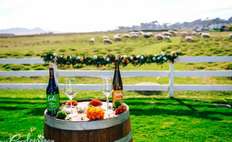 Image weddings 486