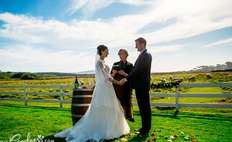 Image weddings 490