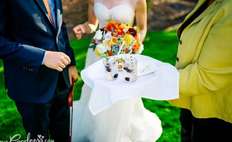 Image weddings 496