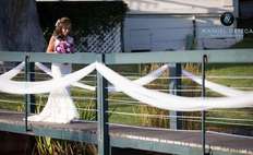 Image weddings 648