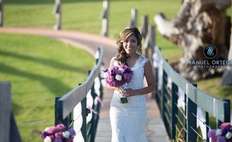 Image weddings 649