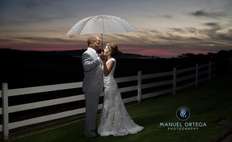 Image weddings 659