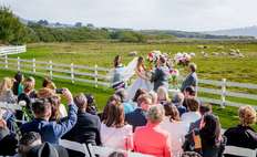 Image weddings 417