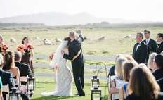 Image weddings 389