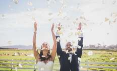 Image weddings 307