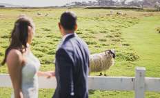 Image weddings 311