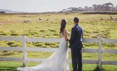 Image weddings 316