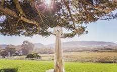 Image weddings 328