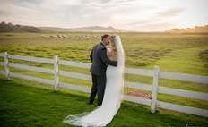 Image weddings 355