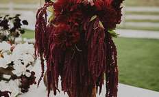 Image about Wanderlust Photo Co. / Christine Cater Floral & Event Design