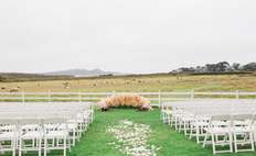 Image about Christine Cater Floral & Event Design