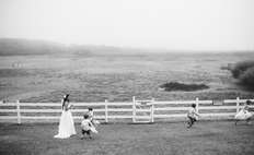 Image weddings 85