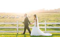 Image about Mission-Ranch-Wedding-Photographer-123-X2
