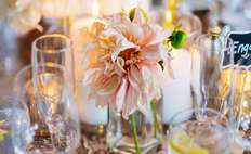 Image decor 155