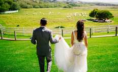 Image weddings 128