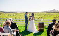 Image weddings 135