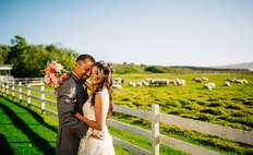 Image weddings 138