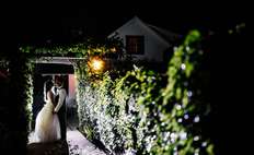 Image weddings 150