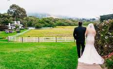 Image weddings 159