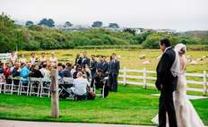Image weddings 160