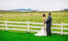 Image weddings 163