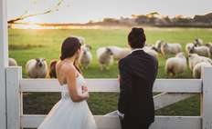 Image weddings 174