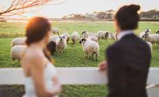 Image weddings 175