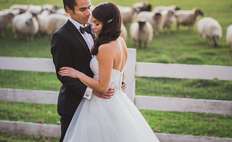 Image weddings 176