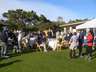 Thumbnail Image #24 of 53