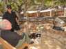 Thumbnail Image #8 of 25